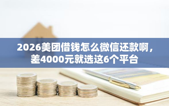 2026美团借钱怎么微信还款啊，差4000元就选这6个平台