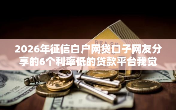 2026年征信白户网贷口子网友分享的6个利率低的贷款平台我觉得不错！