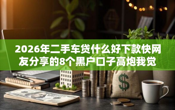 2026年二手车贷什么好下款快网友分享的8个黑户口子高炮我觉得不错！