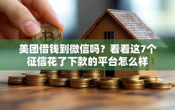 美团借钱到微信吗？看看这7个征信花了下款的平台怎么样