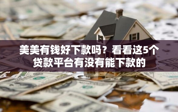 美美有钱好下款吗？看看这5个贷款平台有没有能下款的