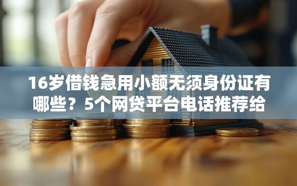 16岁借钱急用小额无须身份证有哪些?5个网贷平台电话推荐给你 16岁借钱急用小额无须身份证有哪些?5个网贷平台电话推荐给你