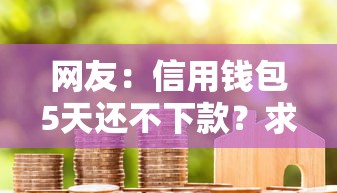 网友：信用钱包5天还不下款？求介绍几款靠谱借钱平台