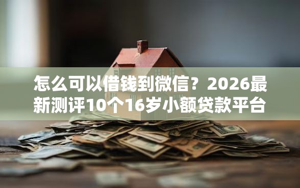 怎么可以借钱到微信？2026最新测评10个16岁小额贷款平台