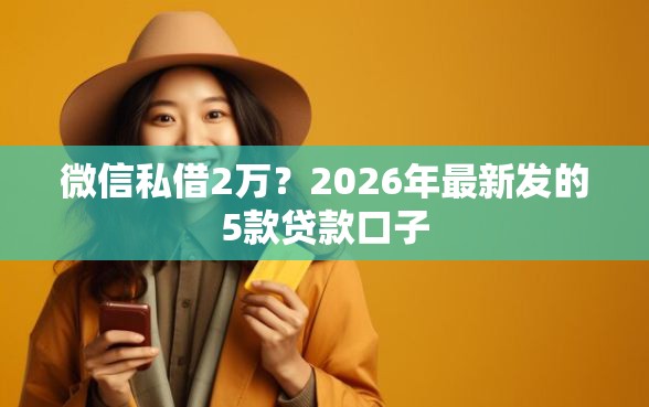 微信私借2万？2026年最新发的5款贷款口子