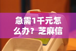 急需1千元怎么办？芝麻信用分650能借钱吗试试这7个无门槛平台