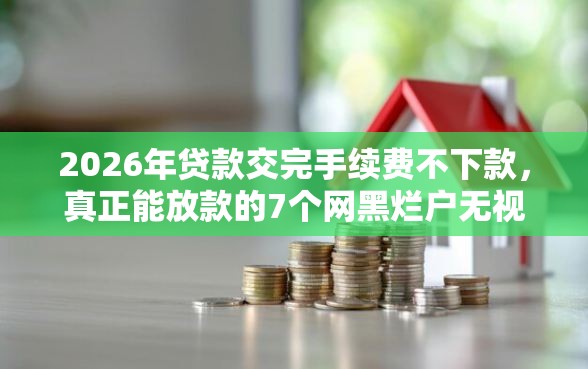 2026年贷款交完手续费不下款，真正能放款的7个网黑烂户无视风控口子推荐