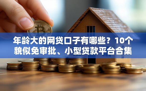 年龄大的网贷口子有哪些？10个貌似免审批、小型贷款平台合集