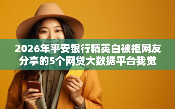 2026年平安银行精英白被拒网友分享的5个网贷大数据平台我觉得不错！