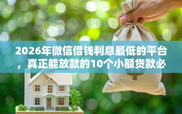 2026年微信借钱利息最低的平台，真正能放款的10个小额贷款必下平台推荐