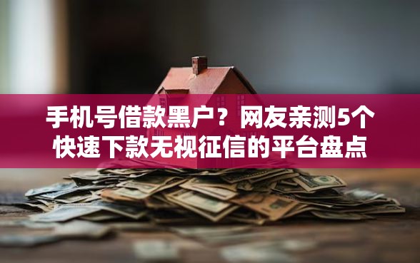 手机号借款黑户？网友亲测5个快速下款无视征信的平台盘点