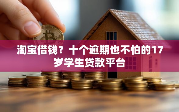 淘宝借钱？十个逾期也不怕的17岁学生贷款平台
