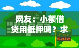 网友：小额借贷用抵押吗？求介绍几款容易过的贷款平台