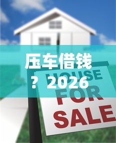 压车借钱？2026最新测评10个贷款融资平台