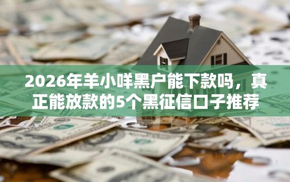 2026年羊小咩黑户能下款吗，真正能放款的5个黑征信口子推荐