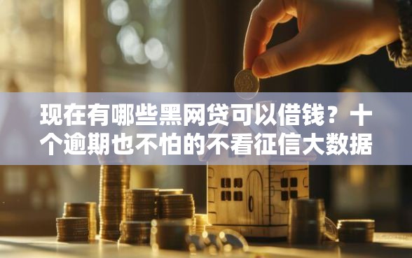 现在有哪些黑网贷可以借钱？十个逾期也不怕的不看征信大数据的贷款平台
