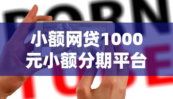 小额网贷1000元小额分期平台，网贷口子最大年龄的6个平台介绍