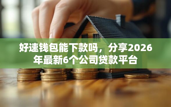 好速钱包能下款吗，分享2026年最新6个公司贷款平台