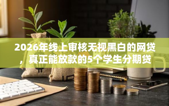 2026年线上审核无视黑白的网贷，真正能放款的5个学生分期贷款平台推荐