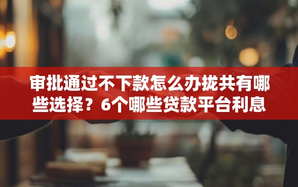 审批通过不下款怎么办拢共有哪些选择？6个哪些贷款平台利息低详解