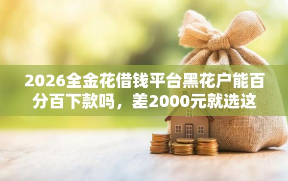 2026全金花借钱平台黑花户能百分百下款吗，差2000元就选这7个平台
