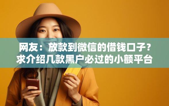 网友：放款到微信的借钱口子？求介绍几款黑户必过的小额平台