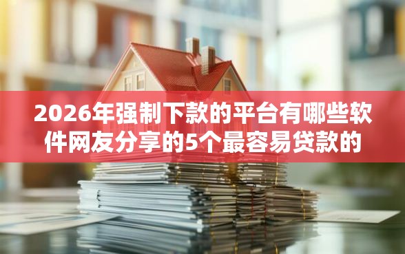 2026年强制下款的平台有哪些软件网友分享的5个最容易贷款的平台我觉得不错！