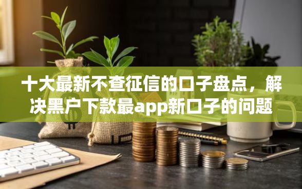 十大最新不查征信的口子盘点，解决黑户下款最app新口子的问题