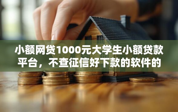 小额网贷1000元大学生小额贷款平台，不查征信好下款的软件的7个平台介绍