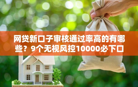 网贷新口子审核通过率高的有哪些？9个无视风控10000必下口子推荐给你