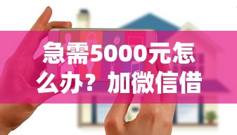 急需5000元怎么办？加微信借钱5千郑州试试这5个无门槛平台