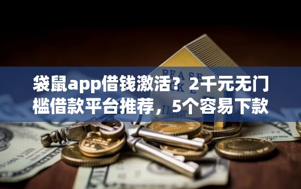 袋鼠app借钱激活？2千元无门槛借款平台推荐，5个容易下款的网贷平台盘点
