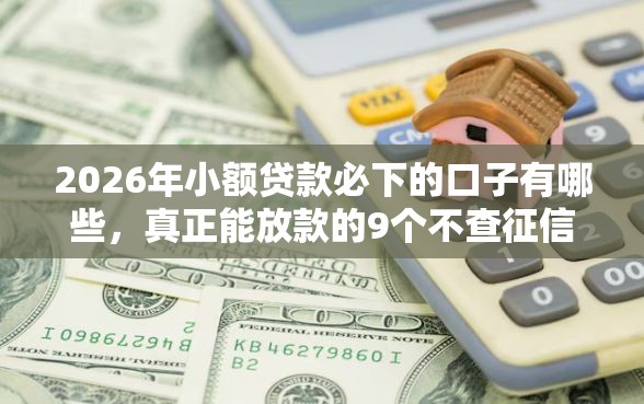 2026年小额贷款必下的口子有哪些，真正能放款的9个不查征信好下款的网贷软件推荐