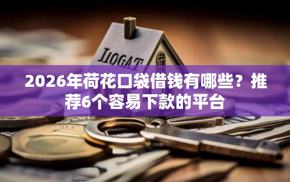 2026年荷花口袋借钱有哪些？推荐6个容易下款的平台