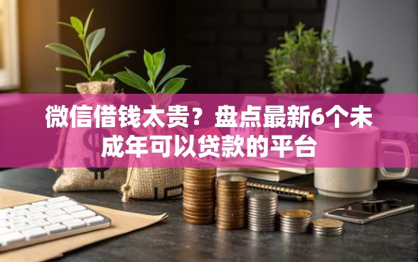 微信借钱太贵？盘点最新6个未成年可以贷款的平台