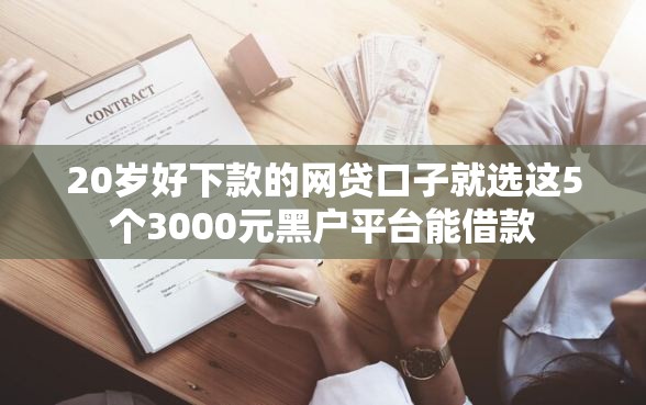 20岁好下款的网贷口子就选这5个3000元黑户平台能借款