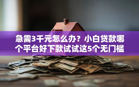 急需3千元怎么办？小白贷款哪个平台好下款试试这5个无门槛平台