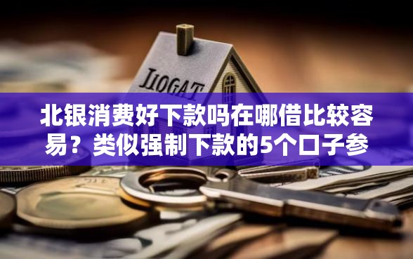 北银消费好下款吗在哪借比较容易？类似强制下款的5个口子参考