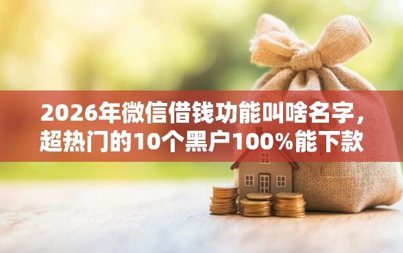 2026年微信借钱功能叫啥名字，超热门的10个黑户100%能下款的平台推荐