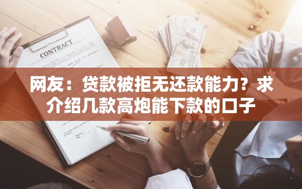 网友：贷款被拒无还款能力？求介绍几款高炮能下款的口子