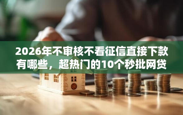 2026年不审核不看征信直接下款有哪些，超热门的10个秒批网贷轻松贷的平台推荐