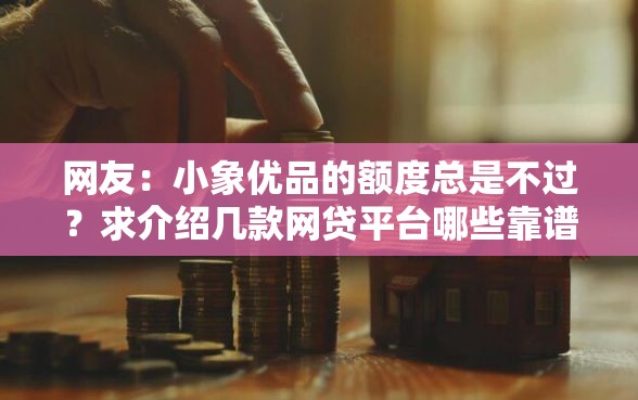 网友：小象优品的额度总是不过？求介绍几款网贷平台哪些靠谱