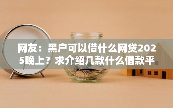 网友：黑户可以借什么网贷2025晚上？求介绍几款什么借款平台最好借款通过