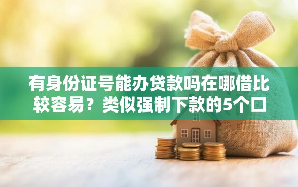 有身份证号能办贷款吗在哪借比较容易？类似强制下款的5个口子参考