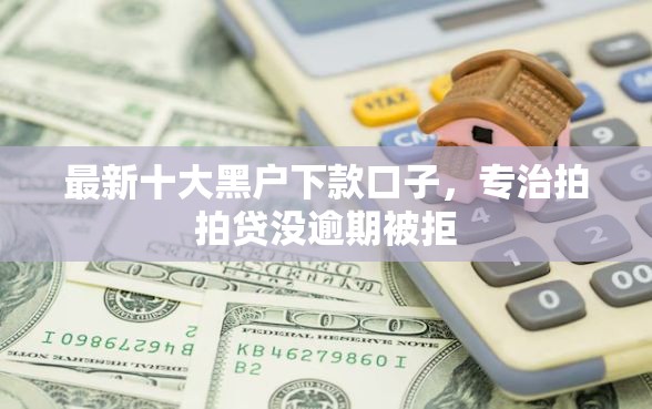 最新十大黑户下款口子，专治拍拍贷没逾期被拒