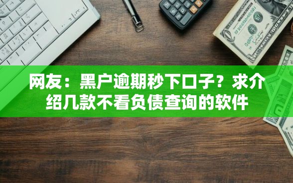 网友：黑户逾期秒下口子？求介绍几款不看负债查询的软件