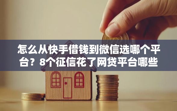 怎么从快手借钱到微信选哪个平台？8个征信花了网贷平台哪些好下款推荐