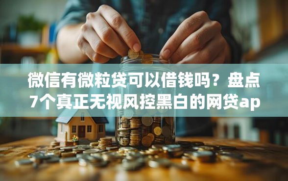微信有微粒贷可以借钱吗？盘点7个真正无视风控黑白的网贷app给你参考