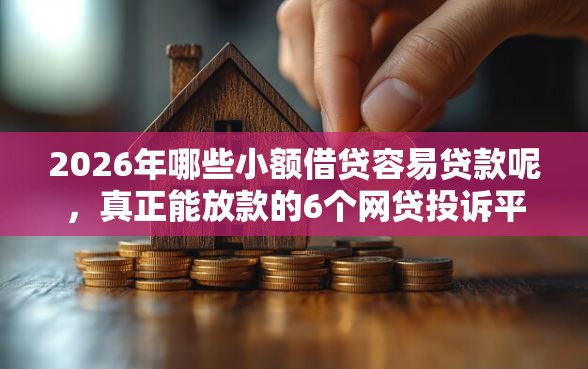 2026年哪些小额借贷容易贷款呢，真正能放款的6个网贷投诉平台推荐