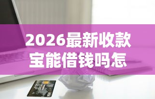 2026最新收款宝能借钱吗怎么借钱，总结十个贷款借款平台好！